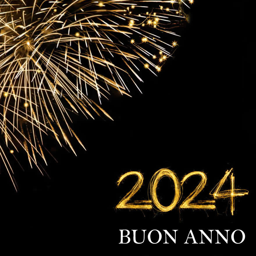 immagine fuochi d'artificio durante i festeggiamenti di buon anno 2024